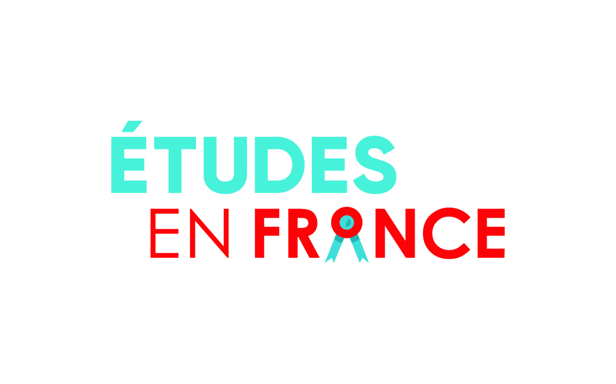 Link to the Etudes en France website