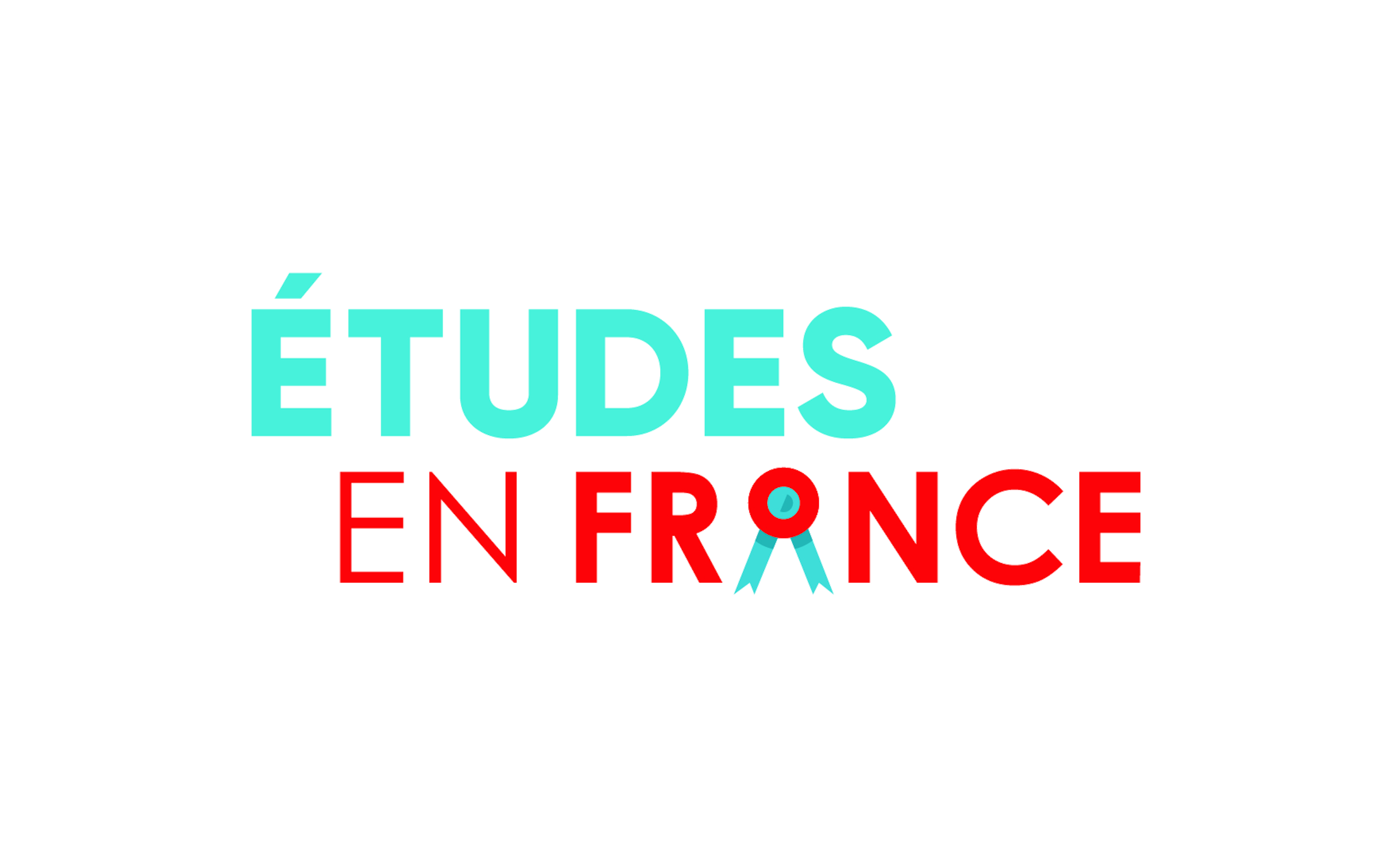Etudes en France